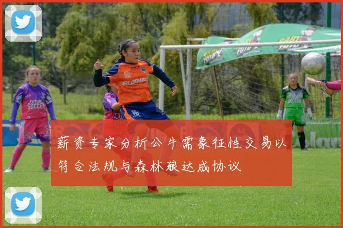 薪资专家分析公牛需象征性交易以符合法规与森林狼达成协议