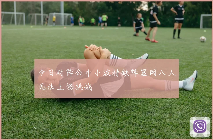 今日对阵公牛小波特缺阵篮网八人无法上场挑战