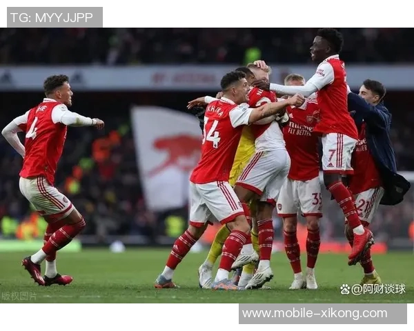 挑战英超传统强队樱桃军团蓄势待发迎接新赛季