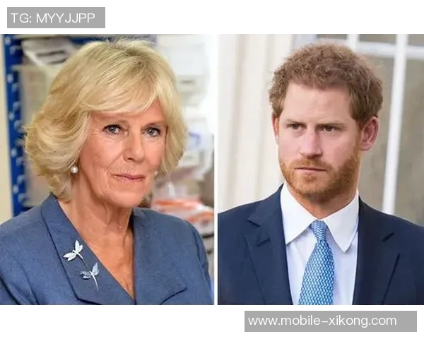 贝林厄姆父母结束二十年婚姻为儿子辞职跨国分居的背后故事