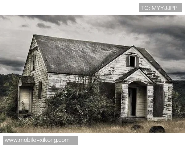 斯波谈火灾后心声:孩子们已安顿我更渴望回归温暖的家 斯波谈火灾后心声:孩子们已安顿我更渴望回归温暖的家