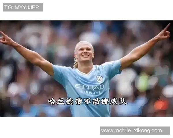 双星璀璨哈兰德12球厄德高7助攻领跑世欧预赛榜单